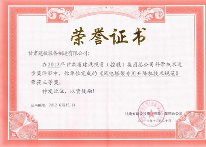 風(fēng)電塔架專用升降機(jī)技術(shù)規(guī)范科技進(jìn)步獎