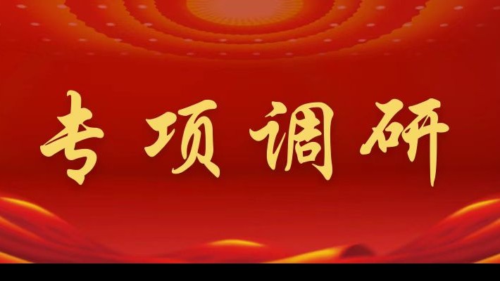 【專項(xiàng)調(diào)研】裝備公司領(lǐng)導(dǎo)班子深入康甲公司、康樂(lè)項(xiàng)目部調(diào)研督導(dǎo)年度重點(diǎn)工作推進(jìn)落實(shí)情況